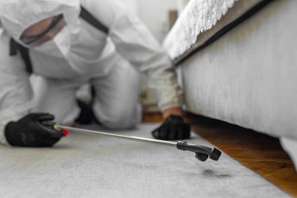 Professional Bed Bug Control technician working in Wrightsville Beach, NC