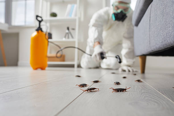 Trusted Cockroach Control service in Wrightsville Beach, NC - Nex Pest Control